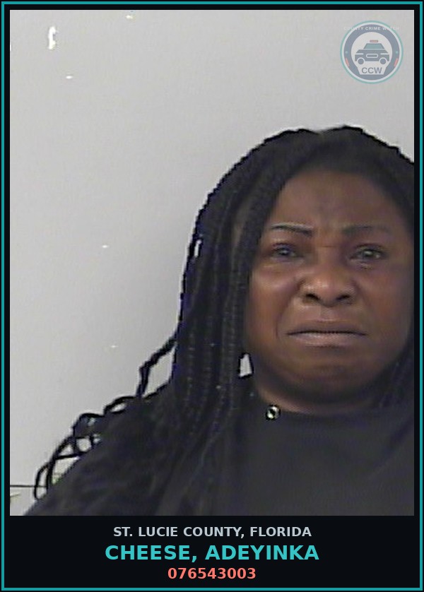 Booking mugshot of Cheese, Adeyinka in St. Lucie County