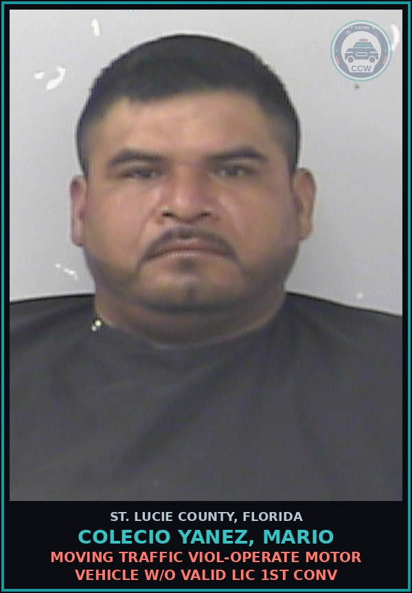 Booking mugshot of Colecio Yanez, Mario in St. Lucie County