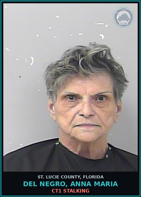 Booking mugshot of Del Negro, Anna Maria in St. Lucie County