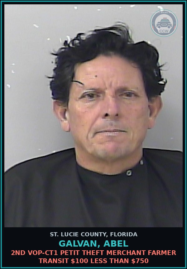 Booking mugshot of Galvan, Abel in St. Lucie County