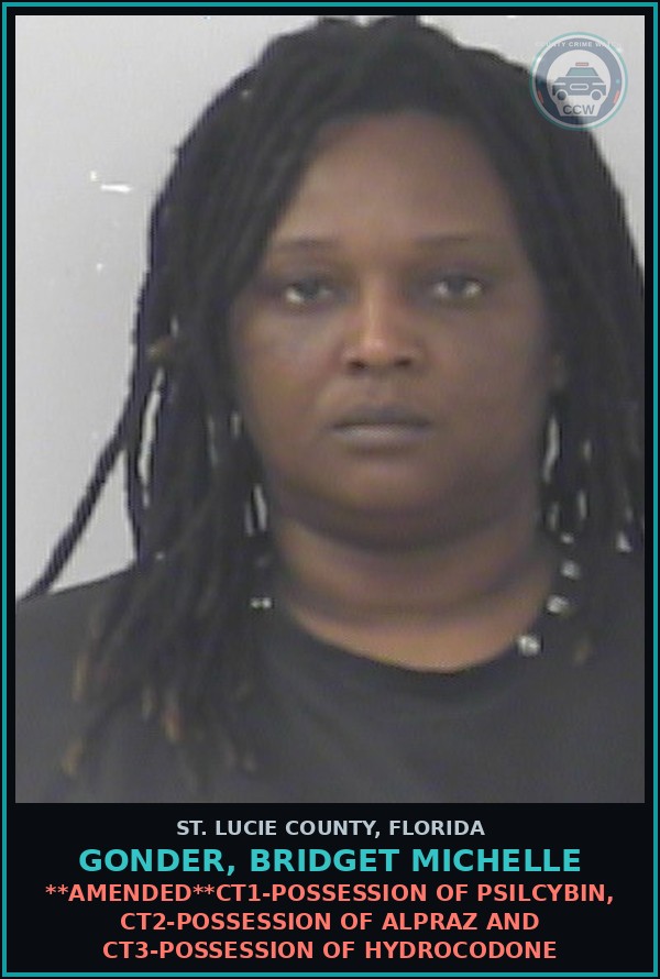Booking mugshot of Gonder, Bridget Michelle in St. Lucie County