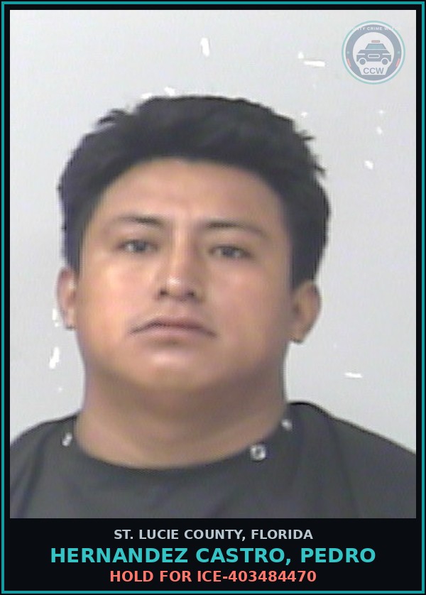 Booking mugshot of Hernandez Castro, Pedro in St. Lucie County
