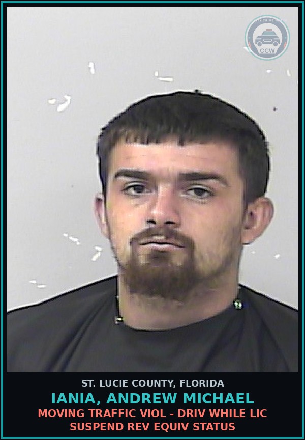 Booking mugshot of Iania, Andrew Michael in St. Lucie County