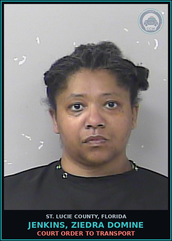 Booking mugshot of Jenkins, Ziedra Domine in St. Lucie County