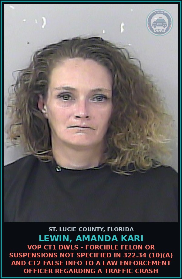 Booking mugshot of Lewin, Amanda Kari in St. Lucie County