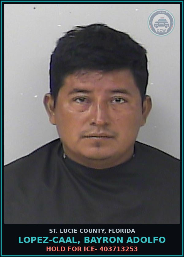 Booking mugshot of Lopez-caal, Bayron Adolfo in St. Lucie County