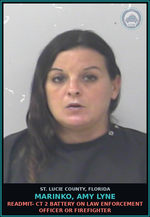 Booking mugshot of Marinko, Amy Lyne in St. Lucie County