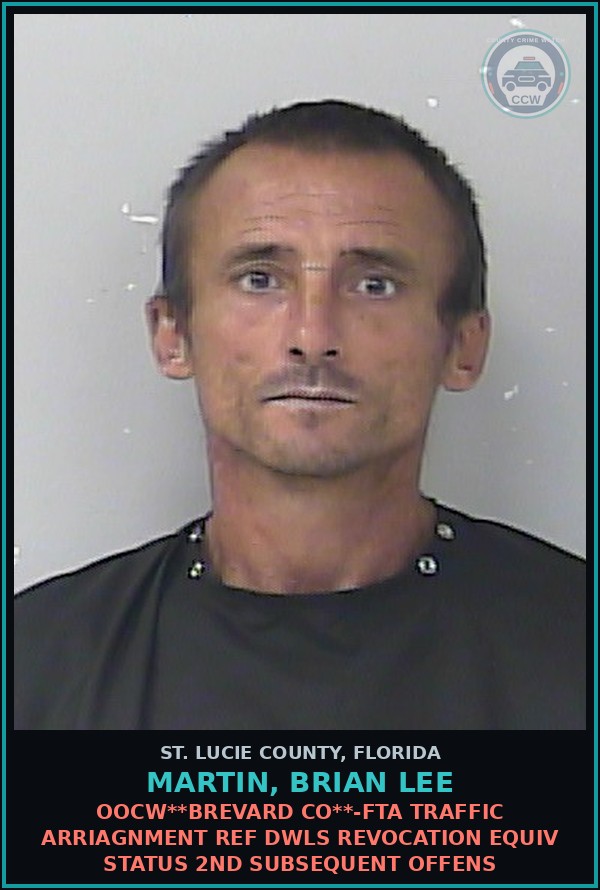 Booking mugshot of Martin, Brian Lee in St. Lucie County