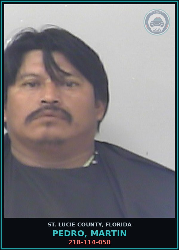Booking mugshot of Pedro, Martin in St. Lucie County