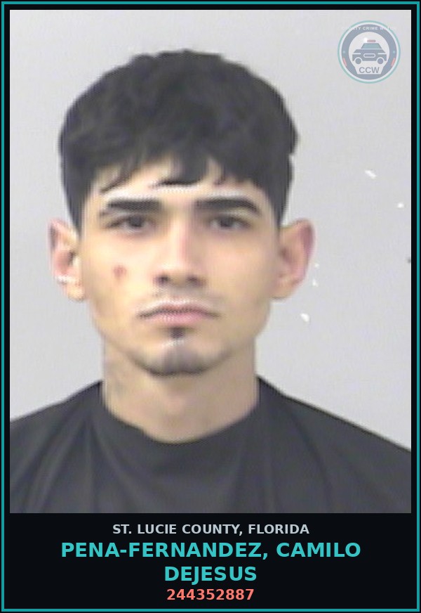 Booking mugshot of Pena-fernandez, Camilo Dejesus in St. Lucie County