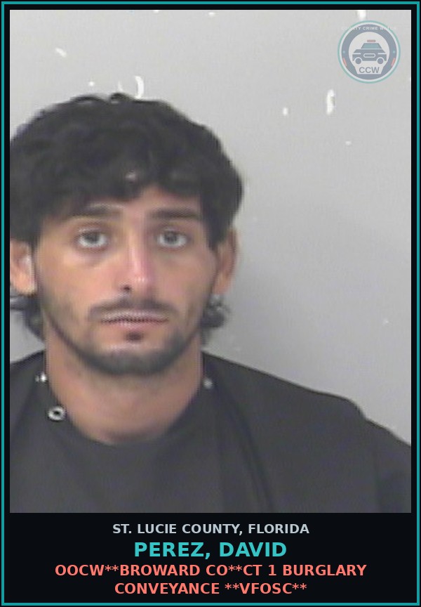 Booking mugshot of Perez, David in St. Lucie County