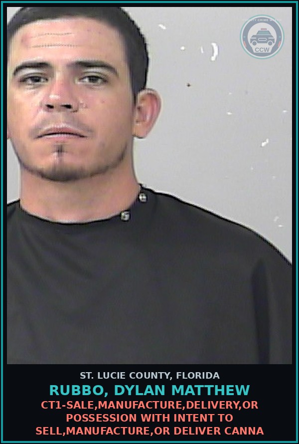 Booking mugshot of Rubbo, Dylan Matthew in St. Lucie County