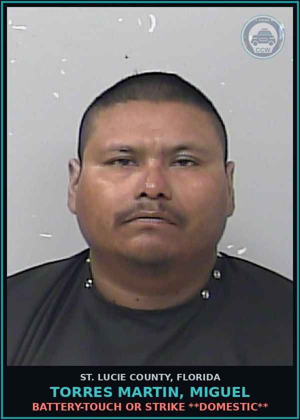 Booking mugshot of Torres Martin, Miguel in St. Lucie County