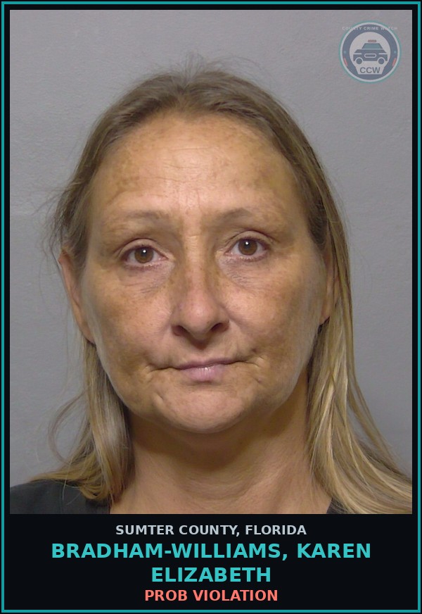 Booking mugshot of BRADHAM-WILLIAMS, KAREN ELIZABETH in Sumter County
