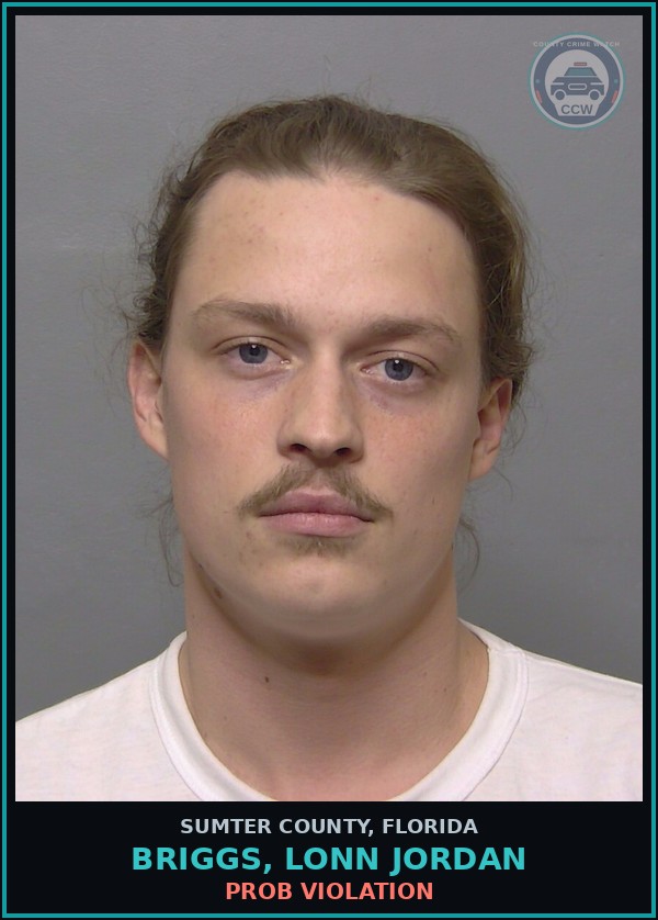 Booking mugshot of BRIGGS, LONN JORDAN in Sumter County