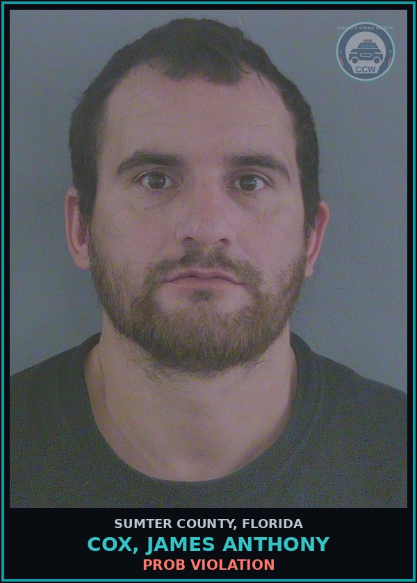 Booking mugshot of COX, JAMES ANTHONY in Sumter County