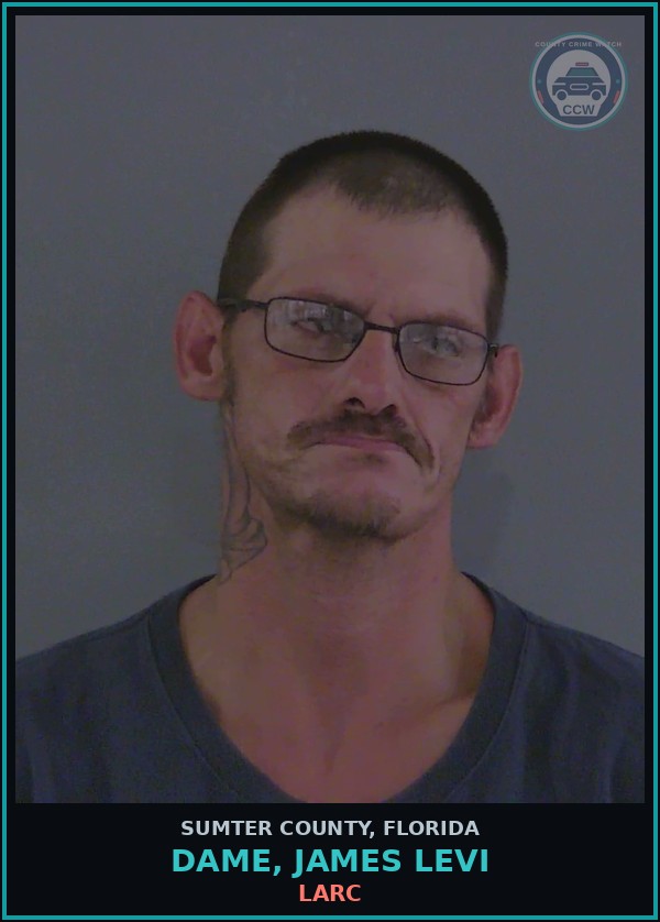 Booking mugshot of DAME, JAMES LEVI in Sumter County