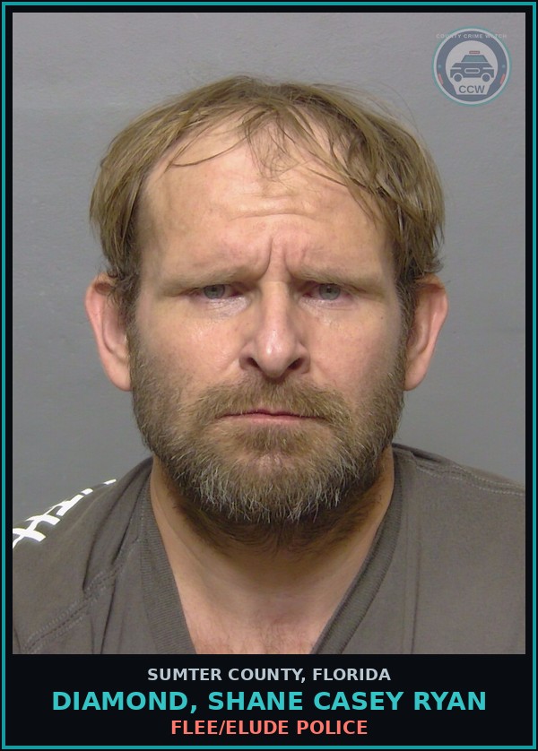 Booking mugshot of DIAMOND, SHANE CASEY RYAN in Sumter County
