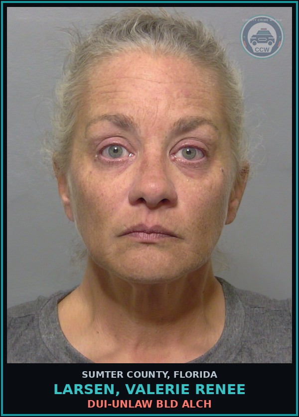 Booking mugshot of LARSEN, VALERIE RENEE in Sumter County