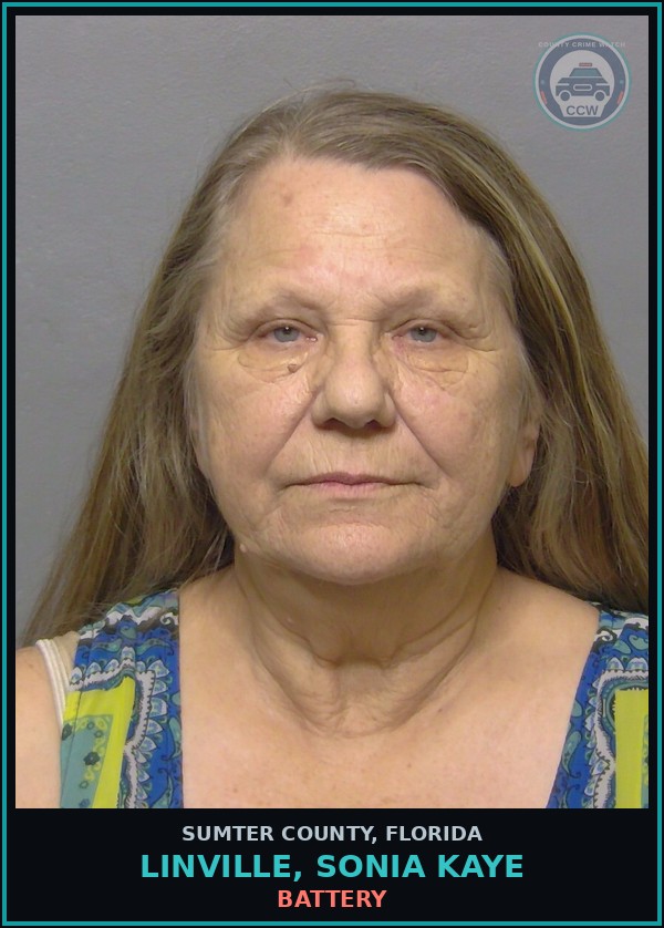 Booking mugshot of LINVILLE, SONIA KAYE in Sumter County
