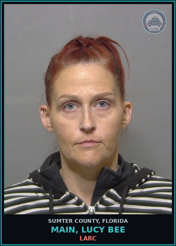 Booking mugshot of MAIN, LUCY BEE in Sumter County