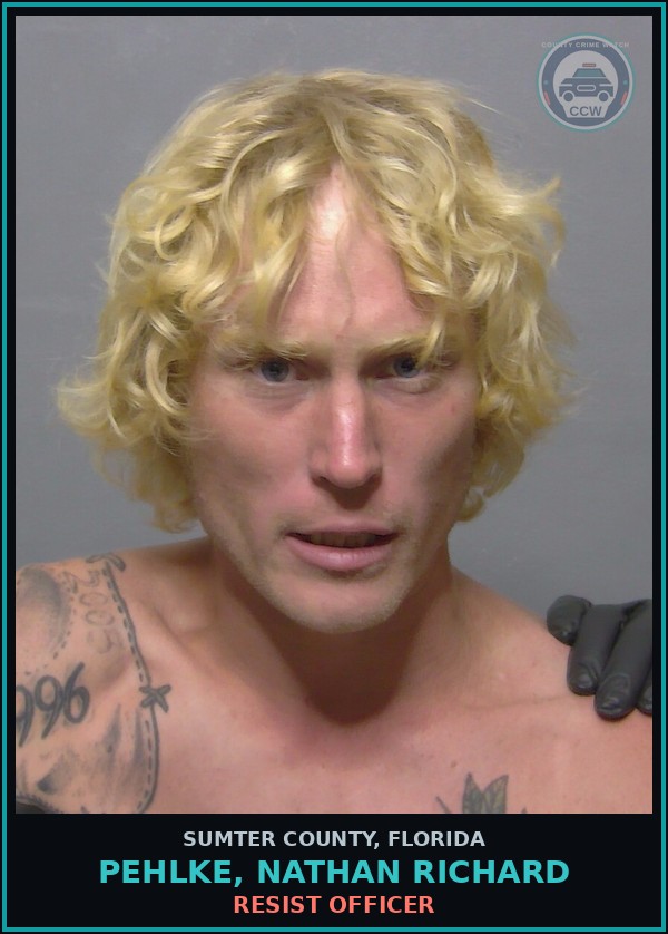 Booking mugshot of PEHLKE, NATHAN RICHARD in Sumter County