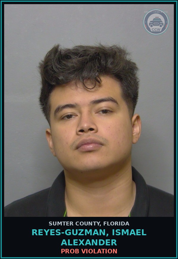 Booking mugshot of REYES-GUZMAN, ISMAEL ALEXANDER in Sumter County