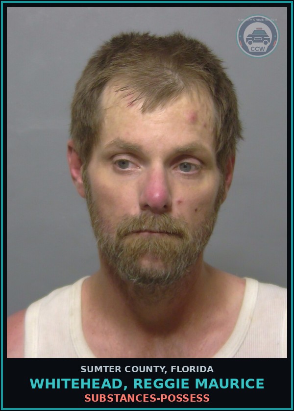 Booking mugshot of WHITEHEAD, REGGIE MAURICE in Sumter County