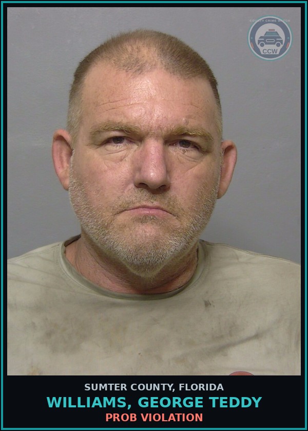 Booking mugshot of WILLIAMS, GEORGE TEDDY in Sumter County