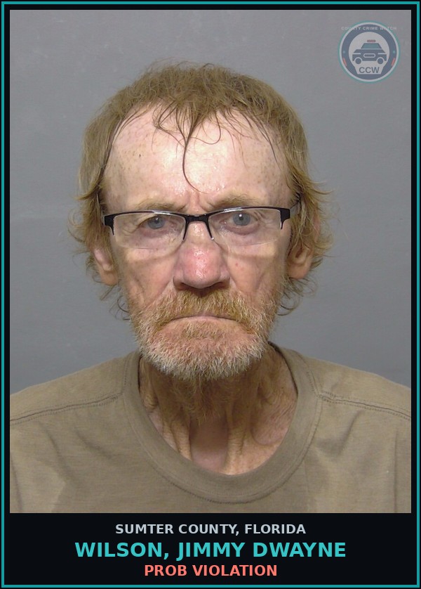 Booking mugshot of WILSON, JIMMY DWAYNE in Sumter County