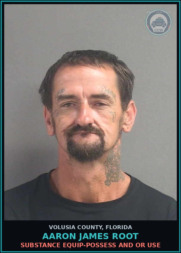 Booking mugshot of AARON JAMES ROOT in Volusia County
