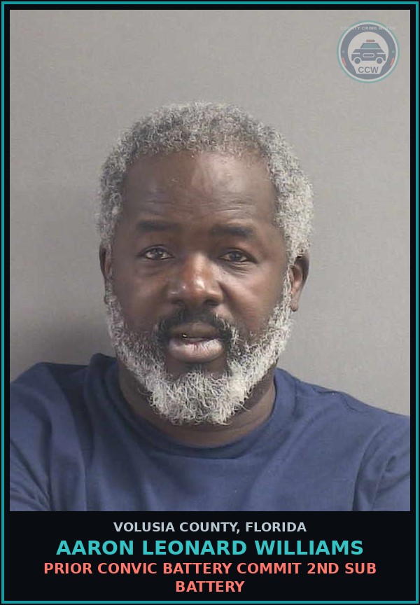 Booking mugshot of AARON LEONARD WILLIAMS in Volusia County