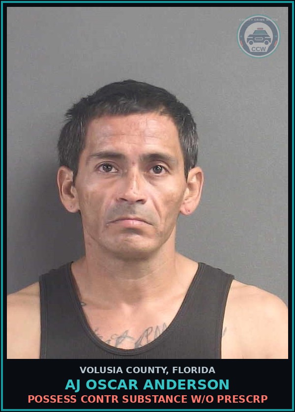 Booking mugshot of AJ OSCAR ANDERSON in Volusia County