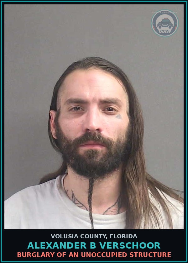 Booking mugshot of ALEXANDER B VERSCHOOR in Volusia County