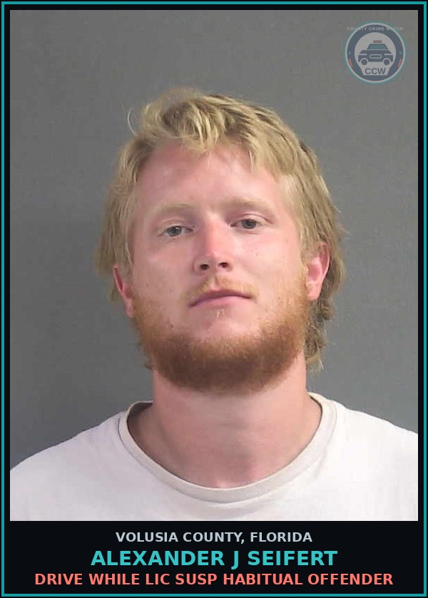 Booking mugshot of ALEXANDER J SEIFERT in Volusia County