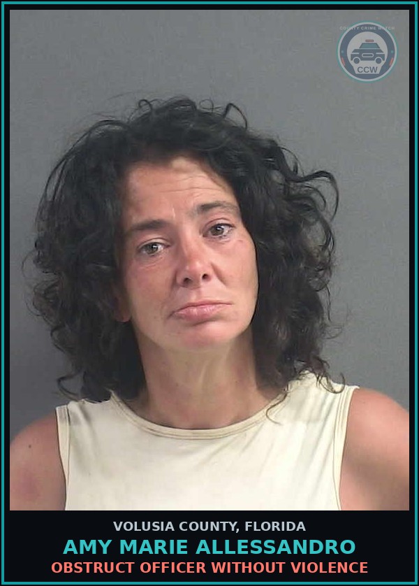 Booking mugshot of AMY MARIE ALLESSANDRO in Volusia County