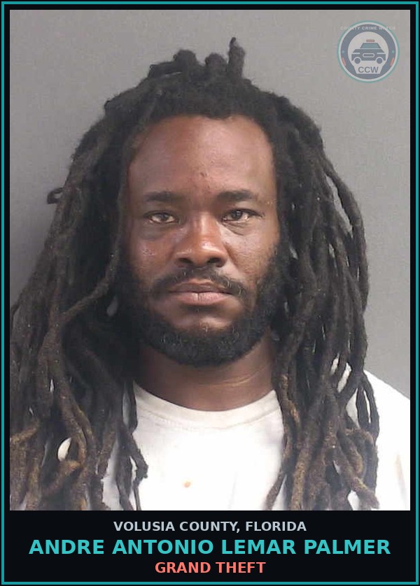 Booking mugshot of ANDRE ANTONIO LEMAR PALMER in Volusia County