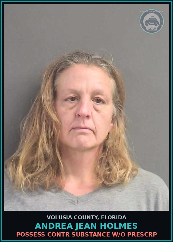 Booking mugshot of ANDREA JEAN HOLMES in Volusia County