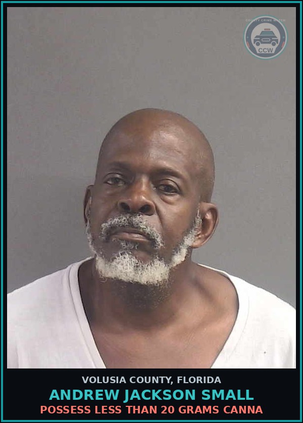 Booking mugshot of ANDREW JACKSON SMALL in Volusia County