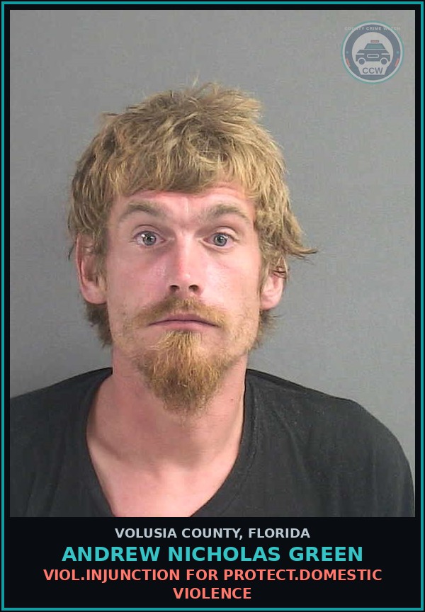 Booking mugshot of ANDREW NICHOLAS GREEN in Volusia County