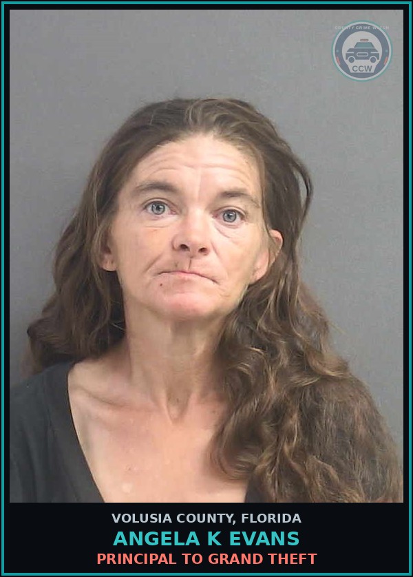 Booking mugshot of ANGELA K EVANS in Volusia County