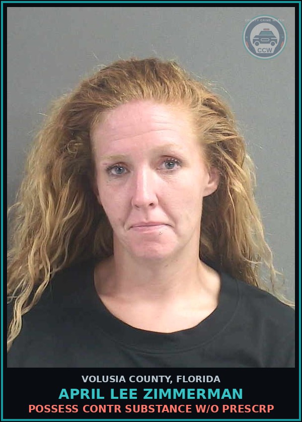 Booking mugshot of APRIL LEE ZIMMERMAN in Volusia County
