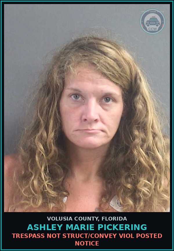 Booking mugshot of ASHLEY MARIE PICKERING in Volusia County