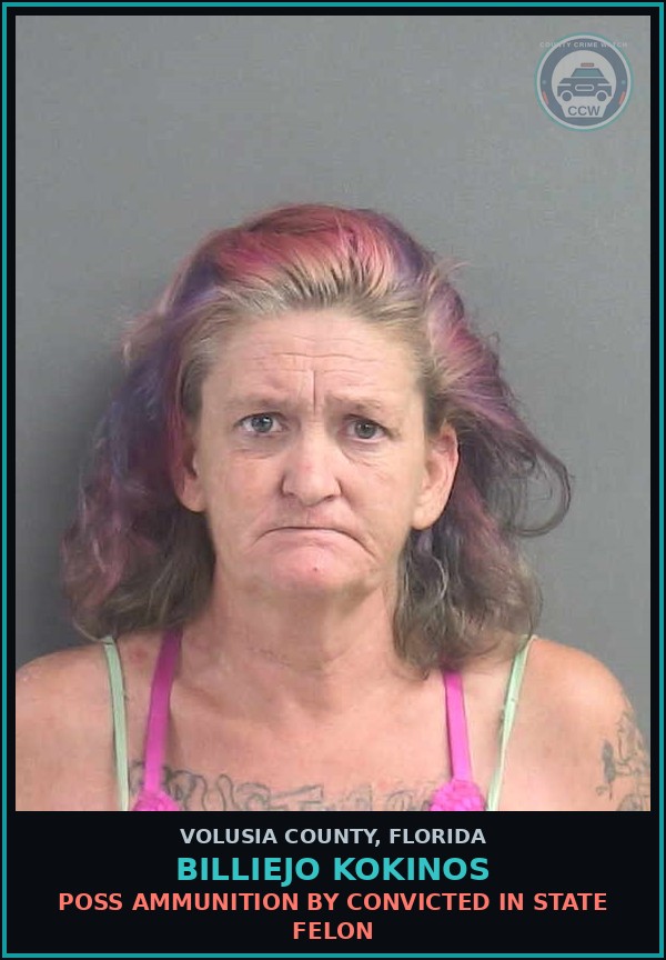 Booking mugshot of BILLIEJO KOKINOS in Volusia County