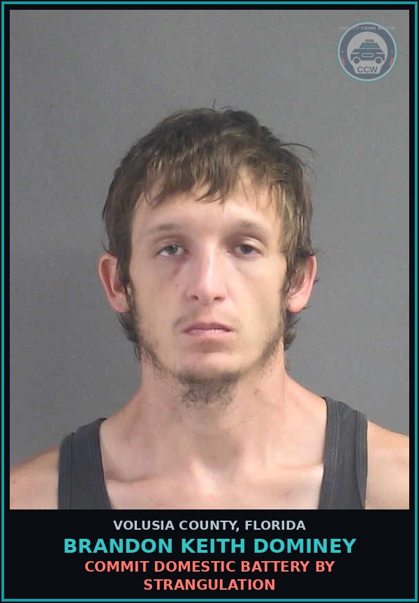 Booking mugshot of BRANDON KEITH DOMINEY in Volusia County