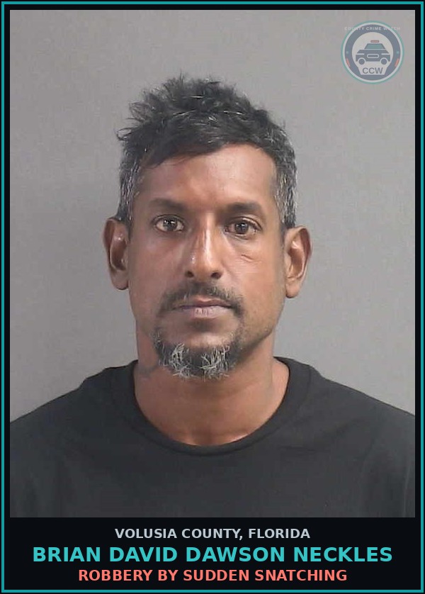 Booking mugshot of BRIAN DAVID DAWSON NECKLES in Volusia County