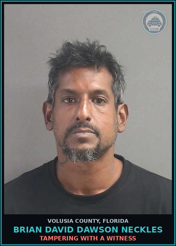 Booking mugshot of BRIAN DAVID DAWSON NECKLES in Volusia County