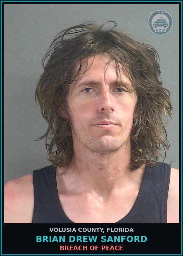 Booking mugshot of BRIAN DREW SANFORD in Volusia County