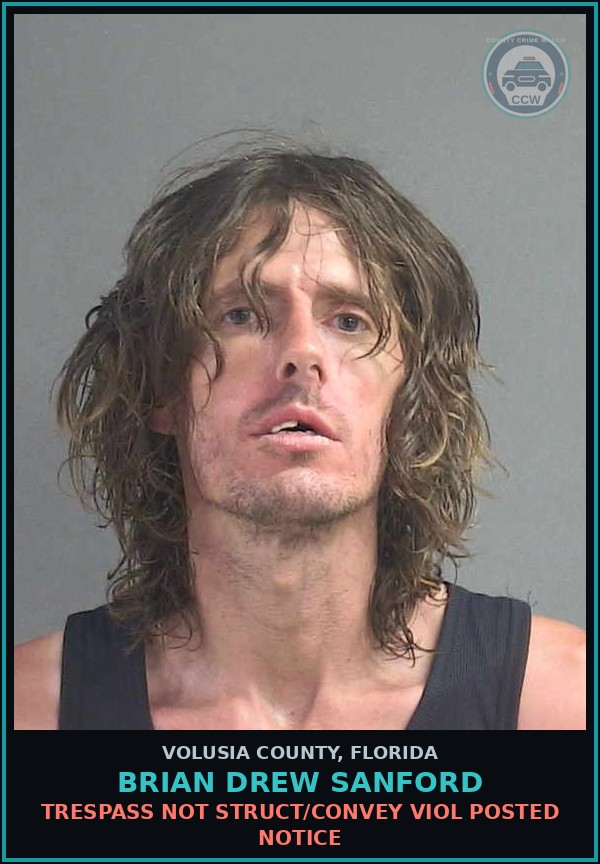 Booking mugshot of BRIAN DREW SANFORD in Volusia County