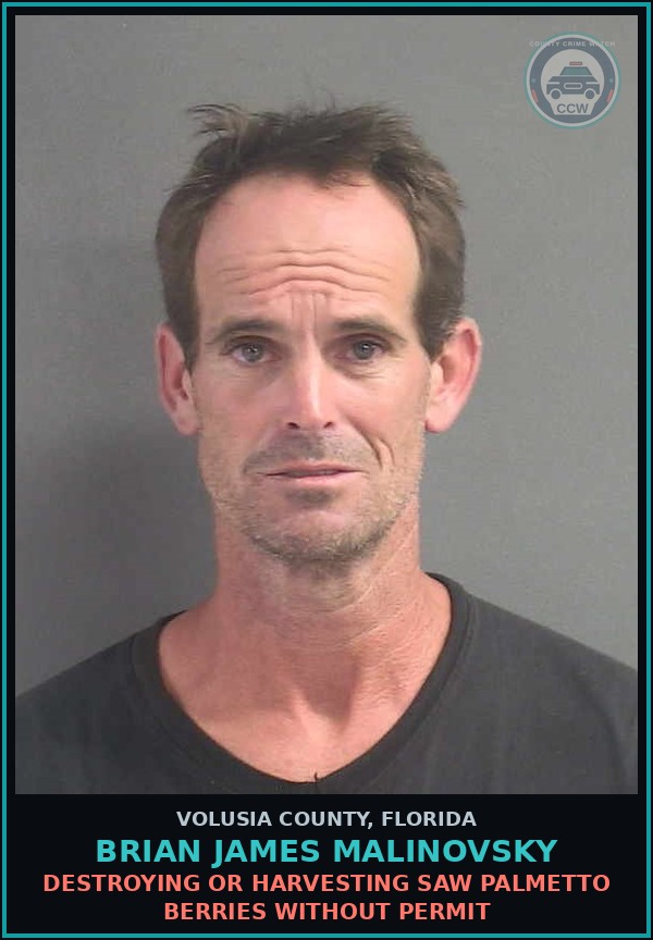 Booking mugshot of BRIAN JAMES MALINOVSKY in Volusia County